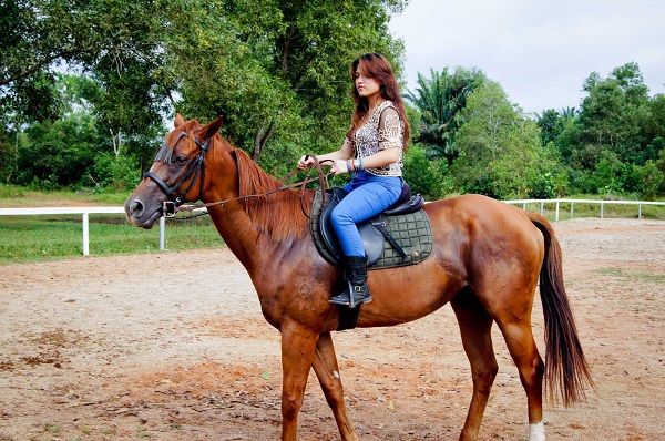 riding-horse